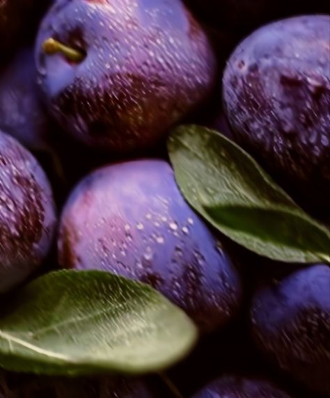 Purple Berries Aesthetic, Professor Plum Aesthetic, Plum Aesthetic Color, Plum Pudding Aesthetic, Plum Color Aesthetic, Plum Purple Aesthetic, Plums Aesthetic, Plum Pudding Strawberry Shortcake, Fruit Poetry