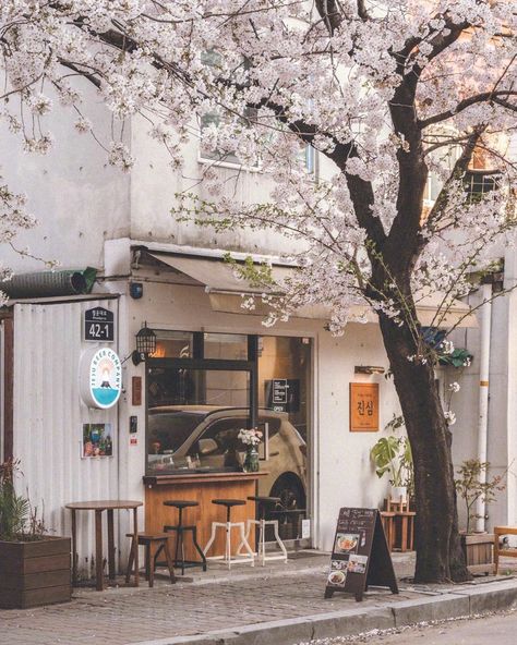 Spring Aesthetic Wallpaper, Fairycore Wallpaper, Korean Vibes, Korean Photography, Scenery Photography, Japanese Wall, Aesthetic Japan, Japanese Aesthetic, Spring Aesthetic