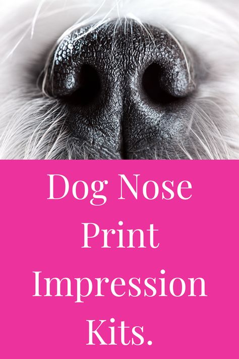 Pet Nose Print, How to make custom silver dog nose print jewellery, Silver Pet Nose, Pet Nose Print DIY, Pet nose print work, Pet nose Print Necklace, Pet nose print art, Dog nose print, Dog nose print art, Dog nose print necklace, Dog nose necklace, Dog Nose Casting, How can I get my dogs nose printed, How do I take a mold of my dogs nose, Dog nose casting, Dog nose casting diy, Dog nose mold diy, Dog nose mold, Dog nose casting kit, Nose Print Dog, Dog Nose Print Diy, Dog Nose Print Art, Dog Paw Print Craft, Silver Clay Jewellery, Pet Memorial Ideas Dogs, Paw Print Crafts, Dogs Nose, Horse Memory