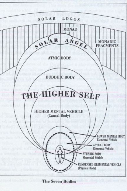 Now there are beings whose lowest member is the etheric body; they too are sevenfold, having an eighth member, higher than spirit-man. We begin to enumerate thus: etheric body, astral body, and so forth, finishing with a member above our Corps Éthérique, Tantra Mantra, Solar Logo, Egiptul Antic, Pranic Healing, Etheric Body, Spirit Science, Higher Self, Les Chakras