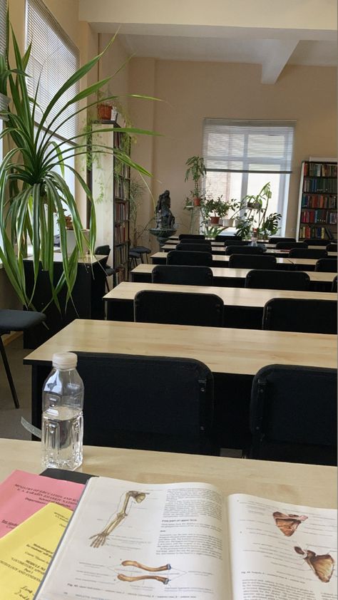 Photographed from a sitting student’s point of view with medicine textbooks on the table,picture shows inside of a library with row of tables on the front,bookshelves on the opposite wall,a medium sized small statue and a lot of plants around Textbook Aesthetic, Green Academia, School Pics, Intj And Infj, Light Academia Aesthetic, Chaotic Academia, Aesthetic Medicine, University Library, Work Motivation