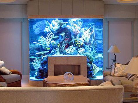 No Room For An Aquarium? Think Again. 20 Unusual Places In Your Home For Fish Tanks. Unique Fish Tanks, Custom Aquarium, Wall Aquarium, Amazing Aquariums, Cool Fish Tanks, Fish Tank Design, Saltwater Fish Tanks, Nature Aquarium, Salt Water Fish