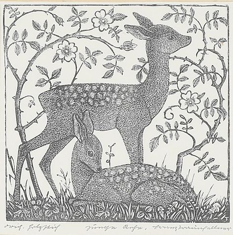 Franz Traunfellner (1913 - 1986) - Young Deer. 1943. Wood engraving on paper. Deer Girl, Deer Illustration, Fairytale Illustration, Vintage Deer, Wood Engraving, Woodland Creatures, Pretty Art, Print Pictures, Tattoo Drawings