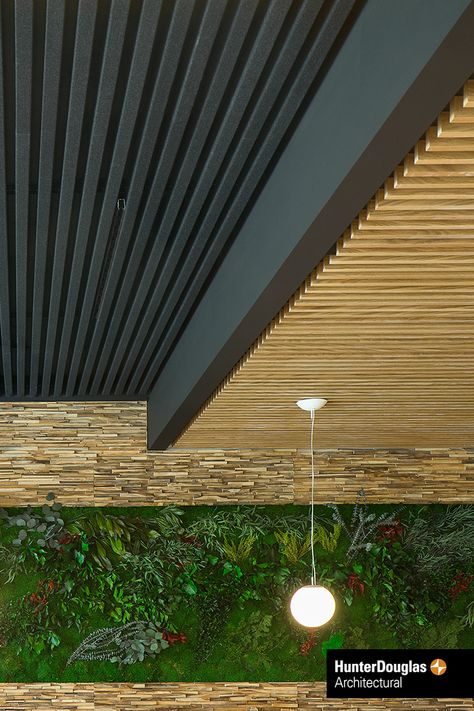 Wood Slat Drop Ceiling, Black Ceiling Design, Ceiling Covering Ideas, Cheap Ceiling Covering Ideas, Ceiling Fan Vaulted Ceiling, Room Ceiling Design, Slat Ceiling, Wood Slat Ceiling, Ceiling Covering