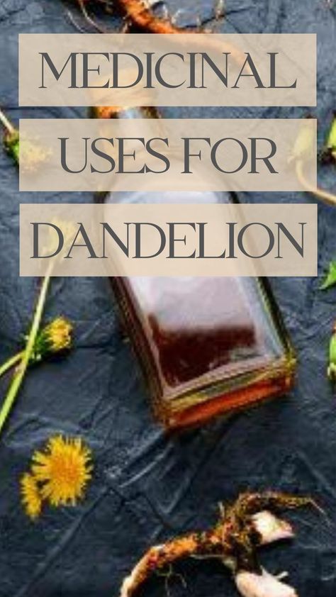 medicinal benefits of dandelion Dandelion Leaf Benefits, Dandelion Tea Benefits, Natural Remedies For Sinus Infection, Remedies For Sinus Infection, Natural Remedies For Acne, Benefits Of Dandelion, Dandelion Benefits, Flowers Recipes, Edible Flowers Recipes