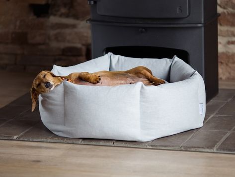 Charley Chau Ducky Donut Dog Bed - minimalist dog bed - stylish dog bed