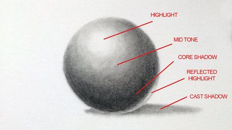 Shading Techniques - How to Shade with a Pencil Pencil Shading Techniques, Shading Drawing, Shadow Drawing, Drawing Tutorials For Beginners, Realistic Drawing, Easy Drawing Tutorial, How To Shade, Shading Techniques, Pencil Shading