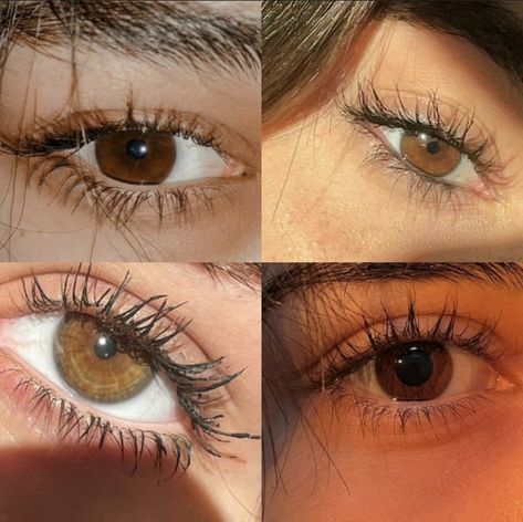 #eyes #beautyblog #hazel Hazel Brown Eyes, Contact Lenses Colored, Contact Lenses, Brown Eyes, Beauty Blog, The Beauty, Lenses, Beauty, Color