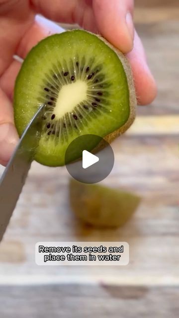 Seed to Flowers on Instagram: "Growing kiwi from a supermarket fruit is easy. They form attractive climbing plants and will take a few years to produce fruit. You will need both male and female plants for pollination so I’m growing a few. A fun experiment.

#kiwi #growfruit #gardeningforbeginners #growyourown #fruits #growyourownfood #gardening #gardenlovers #gardendesign #gardenlife #gardenlover #gardenofinstagram" Growing Kiwi, Kiwi Fruit, Growing Fruit, Grow Your Own Food, Climbing Plants, Garden Lovers, Male And Female, Gardening For Beginners, Grow Your Own