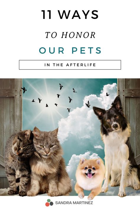 Are you looking for meaningful ways to remember your deceased pets? 

Then click to learn 11 Wonderful Ways To Honor your Pets In The Afterlife. 

This blog post was written by Sandra Martinez, a psychic medium, animal communicator and pet medium. Intuition Exercises, Pet Psychic, Animal Communication, Psychic Medium, Memorial Candle, Psychic Development, The Afterlife, Psychic Mediums, Memorial Service