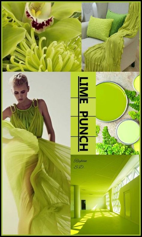 Lime Punch, Color Trends Fashion, Color Collage, Foto Tips, Color Stories, Color Of The Year, Color Textures, Colour Schemes, Color Pallets