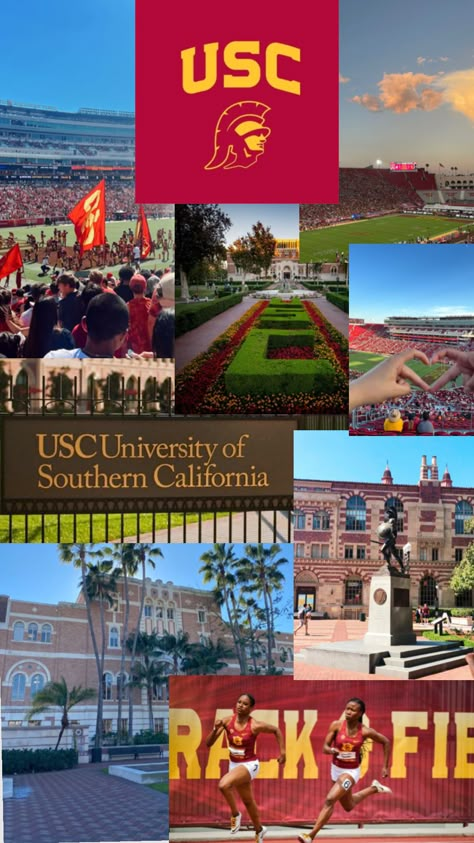 #dream #usc #southerncalifornia Usc College, University Inspiration, Life In Usa, Vision Board Pics, College Vision Board, College Motivation, College Aesthetic, Dream College, Dream School