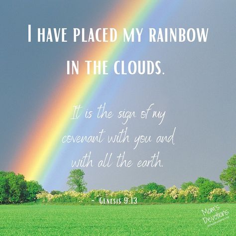 The rainbow belongs to God. He created it as a sign of a promise He made. He also promised to provide a Savior. He did that. Jesus! Rainbow Bible Verse, Gods Promises Quotes, Bible Verse Kjv, Quotes Rainbow, Rainbow Bible, Rainbow Quotes, Rainbow Story, Bible Journal Notebooks, About Rainbow