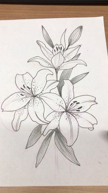 Lily Drawing, Tattoo Mafia, Flor Tattoo, Lilies Drawing, Wrist Tattoo Ideas, Wrist Tattoo Designs, Japanese Flower Tattoo, Crazy Tattoos, Tattoo Art Drawings