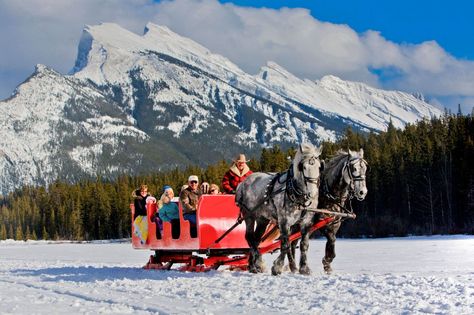 Sleigh Rides in Banff National Park | Banff & Lake Louise Tourism Banff Activities, Gunnison Colorado, Sled Ride, Colorado Winter, Mountain Scenery, Winter Getaway, Horse Drawn, Lake Louise, Sleigh Ride