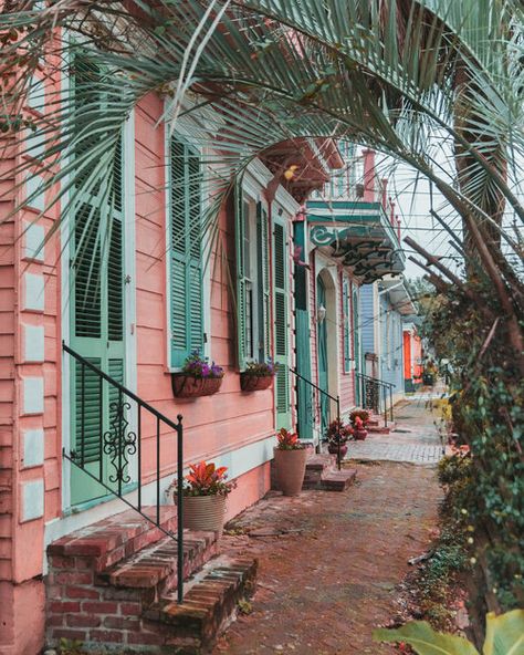 Colorful houses in the Garden District // The Most Instagrammable Spots in New Orleans // #readysetjetset www.readysetjetset.net Galatoires New Orleans, New Orleans Photography, New Orleans Garden District, Hotel Monteleone, New Orleans Vacation, Creole Cottage, Louisiana Bayou, Louisiana Travel, Architecture Restaurant