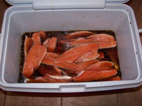 Pickled Salmon Recipes, Canning Fish, Canning Meat, Kokanee Salmon, Canned Salmon Recipes, Canned Salmon, Preserving Foods, Cooking Fish, Canning Ideas