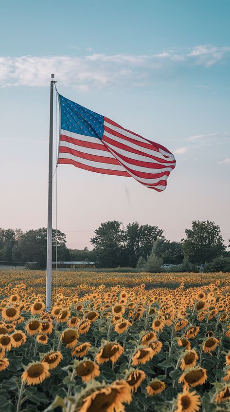 Western Wallpaper, Western Wallpaper Iphone, I Love America, American Flags, A Flag, All American, God Bless America, Our Country, Vintage Aesthetic