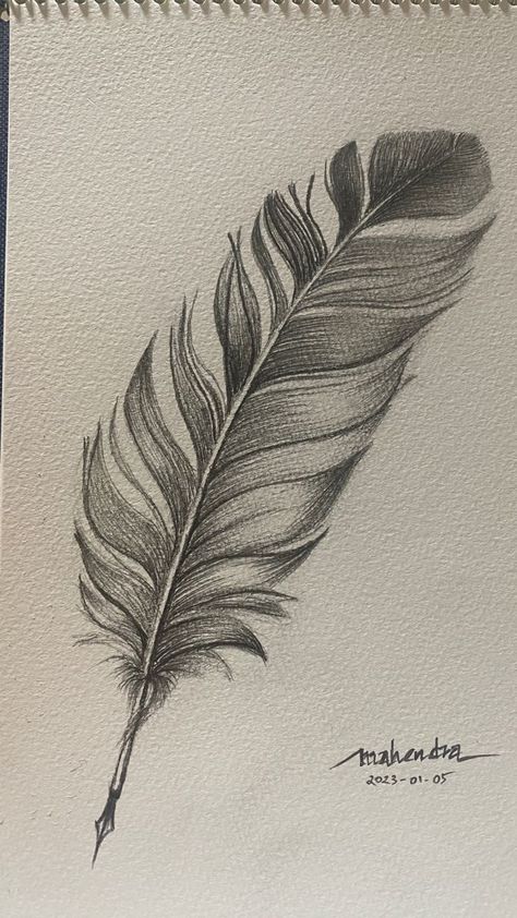 Quill Drawing, Feather Art Drawing, Feathers Drawing, Drawing Feathers, Feather Sketch, Line Art Lesson, Hatch Drawing, Biro Drawing, Value Drawing