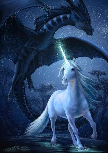 Dragon And Unicorn, Unicorn And Dragon, Unicorn Artwork, Magical Horses, Unicorn Pictures, Fantasy Horses, The Last Unicorn, Fairy Dragon, Mythical Animal