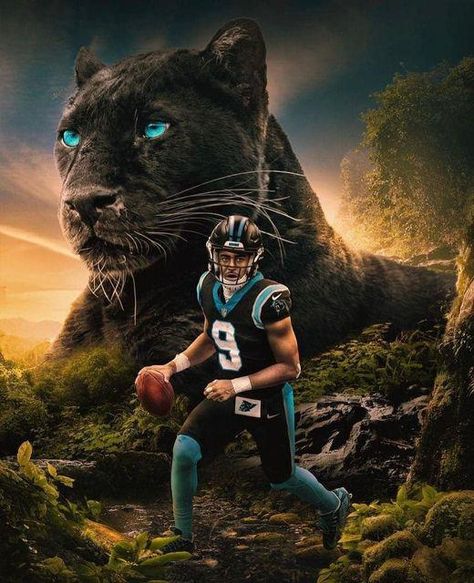 Panthers Wallpaper, Nfl Panthers, Dallas Cowboys Wallpaper, Carolina Panthers Football, Nfl Football Pictures, Panthers Football, Nfl Photos, Funny Football, King Of The Jungle