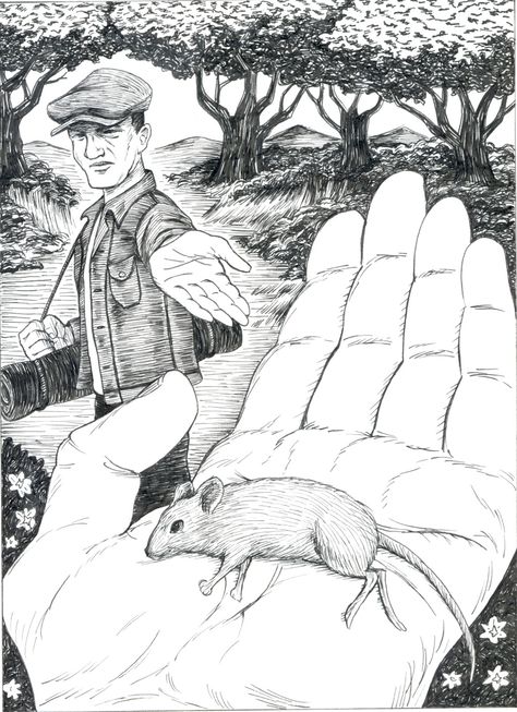 Of mice and men Of Mice And Men Art, Lennie Of Mice And Men, Of Mice And Men Drawing, Men Coloring Pages, Plot Chart, Men Drawing, Mice And Men, 8th Grade Ela, Men Art