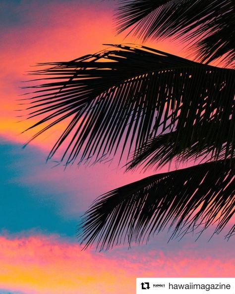 Maui Sunset, Sunset Canvas Painting, Painted Sky, Hawaiian Sunset, Palm Trees Painting, Polynesian Culture, Hawaii Luau, Commitment Ceremony, Iphone Wallpaper Tumblr Aesthetic