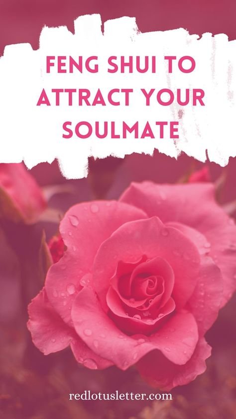 Are you looking for that person with whom you sense a connection above all others? The one who seems to speak to your soul? Well, your search is finally coming to an end. Explore these tips and start activating a forever love energy to find 'The One' ? #redlotusletter #fengshuitips #fengshuikatie #fengshuilifestyle #fengshuiliving #fengshuiyourlife #fengshui #fengshuiforlove #romance #love #happy #caring #romance #couple #romantic #soulmate #relationshipgoals Feng Shui Candles, Feng Shui Wealth Corner, Romantic Soulmate, Feng Shui For Love, Spiritual House, Feng Shui Love, Thinker Quotes, Attract Your Soulmate, Feng Shui Good Luck