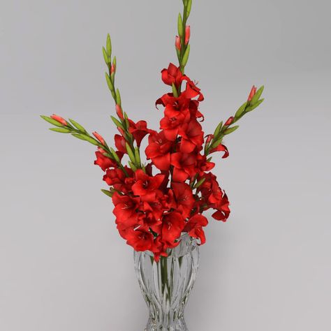 Red & Coral Pink Glad- floral arrangement inspiration Red Gladiolus Bouquet, Gladiolus Bouquet, Red Gladiolus, Gladiolus Flower, Bouquet Vase, Garden Paradise, Flower Arrangement Designs, Nature 3d, Christmas Floral Arrangements