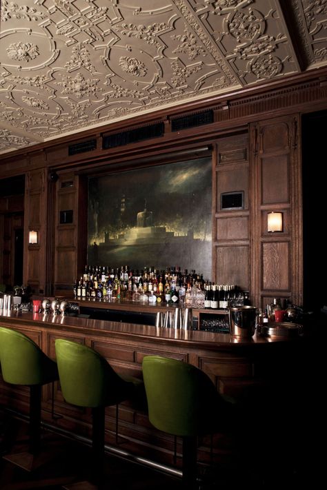 Melanie Harlow, Ornate Ceiling, Oak Room, Oak Bar, Hotel In New York City, The Plaza Hotel, Nyc Bars, Nyc Hotels, Brand Creation