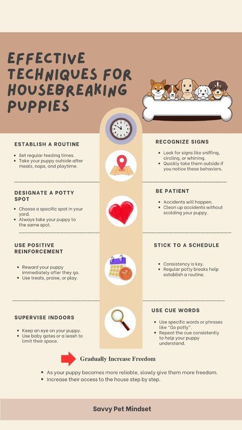 effective techniques for housebreaking puppies Puppy Routine, Lacrosse Training, Puppy Development, Puppy Training Schedule, New Puppy Checklist, Puppy Checklist, Dog Breeding, Potty Train, Notes Ideas