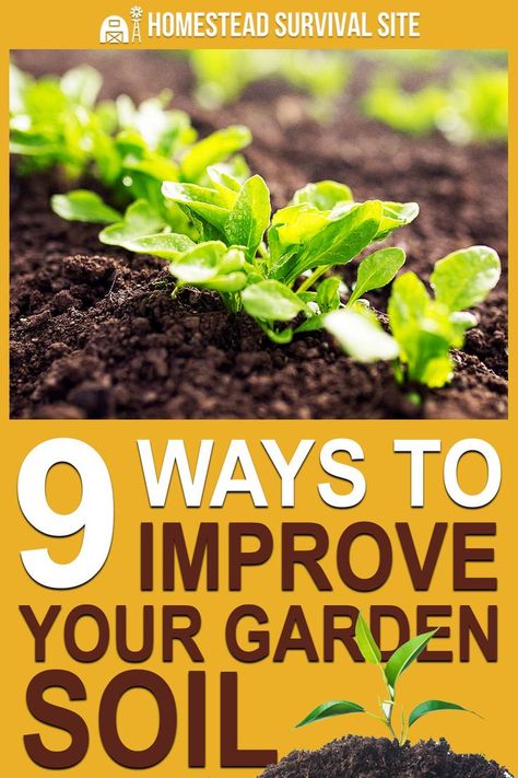 Growing a bountiful harvest begins with one simple yet extremely important step, regardless of where you live or what you're planting: soil quality. There are many ways to enhance the dirt you'll be planting your seeds in, none of which cost much money or time. #homesteadsurvivalsite #gardening #gardeningtips #gardentips #gardensoil Garden Soil Mix, Growing Green Beans, Mushroom Compost, Organic Gardening Pest Control, Compost Pile, Bountiful Harvest, Homestead Survival, Soil Improvement, Garden Pests