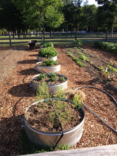 Raised garden beds created in culvert bands. 3 feet across. Cost about $35 apiece. Fill em with dirt and off you go. Culvert Garden Beds, Wildlife Pond, Garden Plan, Lawn Sprinklers, Garden Life, Garden Idea, Italian Garden, Garden Images, Backyard Farming