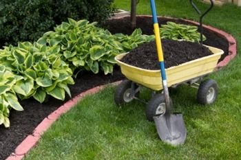 Black Cedar Mulch Mulch Garden, Garden Mulch, Types Of Mulch, Shade Tolerant Plants, Landscaping With Large Rocks Front Yard, Cheap Backyard, Hosta Plants, Landscaping Tools, Landscaping With Large Rocks