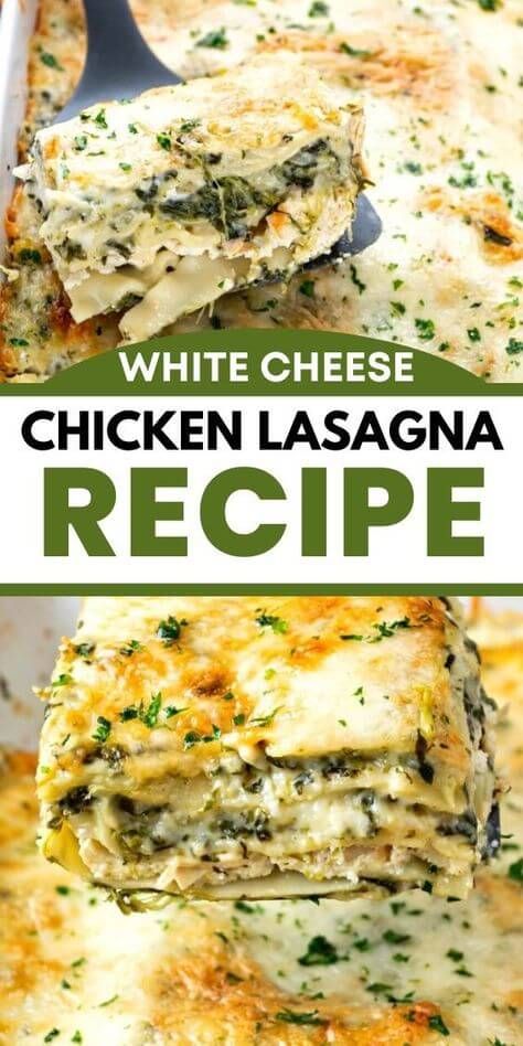 White Cheese Chicken Lasagna Recipe - Top Recipes Lasagna Recipe Chicken, Lasagna With White Sauce, White Lasagna Recipe, Chicken Spinach Lasagna, White Chicken Lasagna, Chicken Lasagna Recipe, Homemade Lasagna Recipes, Lasagna Recipe With Ricotta, White Lasagna