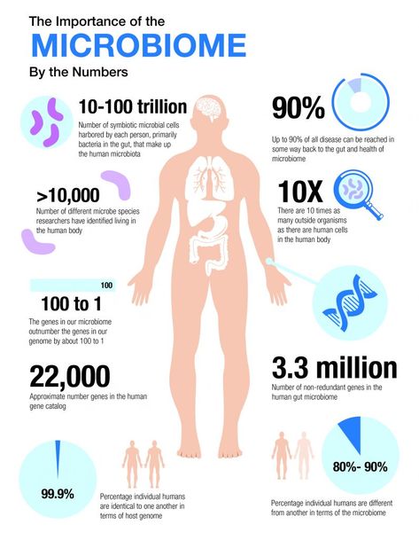 importance of microbiome Microbiome Illustration, Human Microbiome, Health Images, Detox Your Body, Body Makeup, Detox Cleanse, School Of Medicine, Gut Health, Probiotics