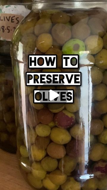 Hannah Moloney on Instagram: "I got this preserving recipe from mates @milkwood  and loved it cause its so easy! Thanks legends 💚

Once they’re ready (probably around 4 months away)  I’ll drain the olives and transfer them into some olive oil with herbs. Alternatively, you could  just make a fresh brine or store them in 50:50 vinegar and water.

What’s your favourite olive preserving technique?" Canning Olives, Olive Preserving, Olive Oil With Herbs, Water Bath Canning, Vinegar And Water, 4 Months, 50 50, I Got This, Pickles