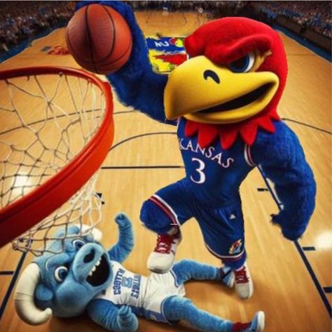 Ku Basketball, Go Ku, Ku Jayhawks, Rock Chalk, Omaha Nebraska, Nebraska, Basketball