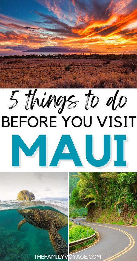 Dreaming of Maui? Find out the top 5 things to do before your visit to this Hawaiian paradise! Our expert travel tips will help you make the most of your Maui adventure. 🐋 #MauiTravel #HawaiiVacation #TravelTips #MauiGuide #HawaiianIslands #MauiChecklist #AdventureAwaits | Hawaii travel tips | Hawaii travel guide | Maui travel guide Maui Travel Guide, Hawaii Trip Planning, Hawaii Vacation Tips, Hawaii Itinerary, Maui Hawaii Vacation, Hawaii Things To Do, Hawaii Travel Guide, Trip To Maui, Maui Travel