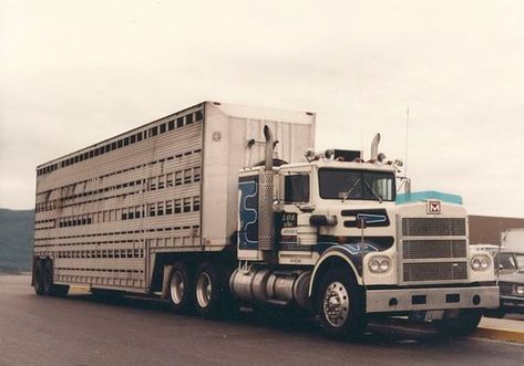 MARMON. Conventional, Cattle-Truck. U.S.A. Livestock Hauler, Marmon Trucks, Cattle Trailers, Cattle Trucks, Truck Pics, Livestock Trailers, Semi Trailer Truck, American Trucks, Cattle Drive