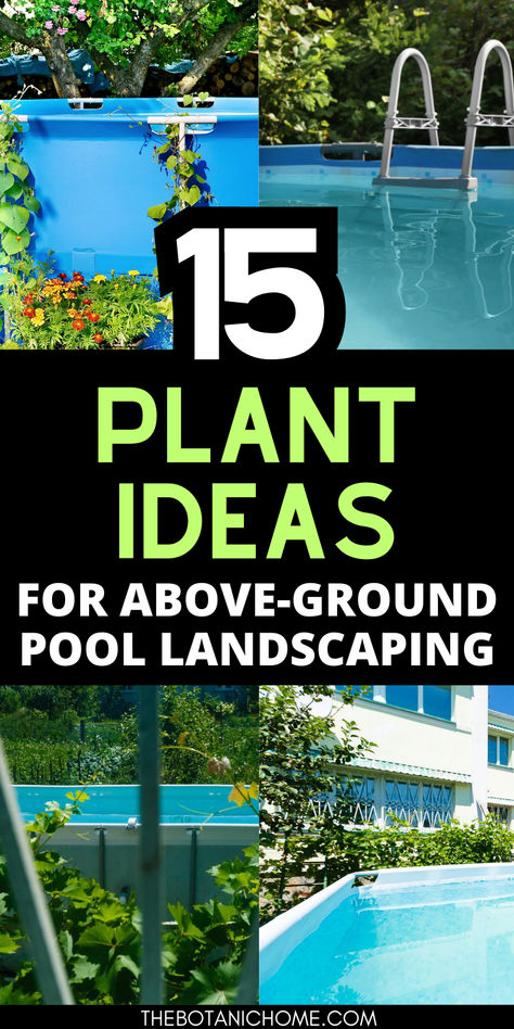 Image of plants around an above ground pool. Text reads: Landscape Around Pool Above Ground, Above Ground Pool Landscaping Plants, Landscape Around Above Ground Pool, Above Ground Pool Ideas On A Budget Diy, Cheap Pool Ideas, Pool Shade Ideas, Diy Pool Ideas, Above Ground Pool Landscape Ideas, Above Ground Pool Landscape