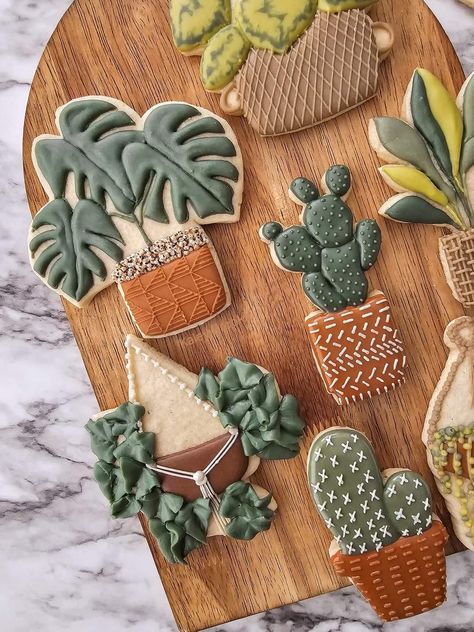 Plant Cookies, Succulent Cakes, Cookies Sticker, Succulent Cake, Friend Gift Ideas, Flower Cakes, Cookie Company, Air Dry Clay Projects, Boho Party