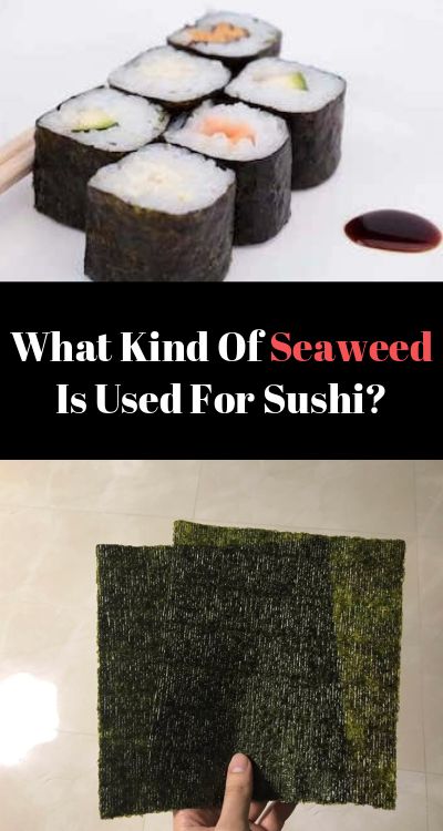 Seaweed adds a distinct flavor to sushi, but do you know there are hundreds of varieties available. Find out which type of seaweed is used for sushi Easy Homemade Sushi, Sushi Seaweed, Squares Recipes, Sushi Wrap, Seaweed Wrap, Dried Seaweed, Sushi Ingredients, Edible Seaweed, Nori Seaweed