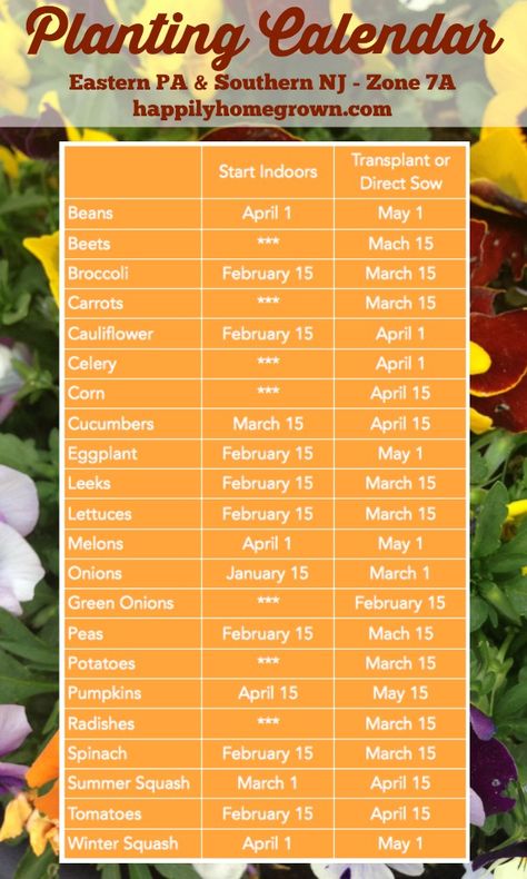 Do you live in eastern PA or southern NJ and want to know when to start your seeds? A planting calendar specific to our area is key! Gardening Calendar, Growing Calendar, When To Plant Vegetables, Planting Calendar, Garden Calendar, Potager Garden, Urban Homesteading, Fruit Plants, Garden Pests