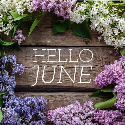 summer, winter and snow image on We Heart It Welcome June Month, June Month Quotes, New Month Wishes, Best Encouraging Quotes, June Quotes, June Month, Welcome June, New Month Quotes, Welcome Quotes