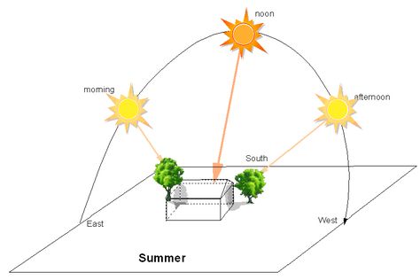 Where to plant your new tree Eco House Plans, Eco House Design, Planting Trees, Sensory Garden, Permaculture Design, Tree Pruning, Garden Shrubs, Tropical House, Landscape Plans