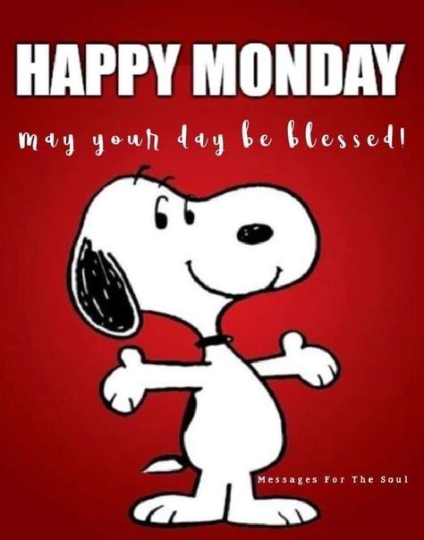 Happy Monday Snoopy, Monday Snoopy, Snoopy Holiday, Good Morning Snoopy, Daily Greetings, Monday Blessings, Snoopy Funny, Snoopy Images, Snoopy Wallpaper