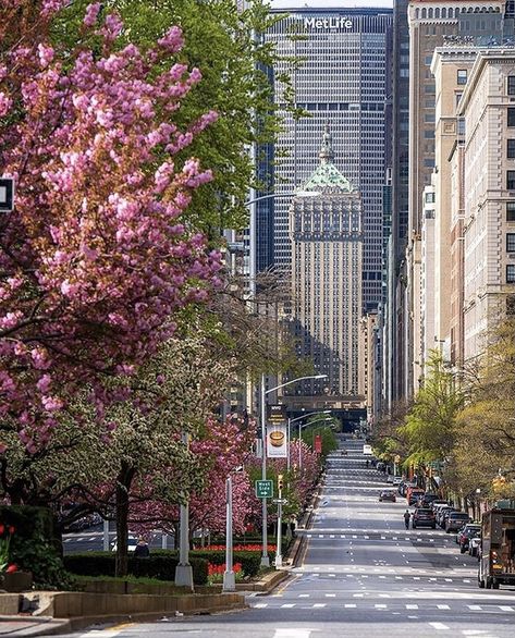 York Travel, Nyc Aesthetic, New York Photos, Nyc Life, Flower Landscape, Beautiful Streets, Pink Trees, City Photography, Park Avenue