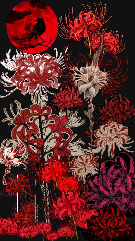 Spider Lilly Wallpapers 4k, Red Spider Lily Embroidery, Red Spider Lily Kimono, Red Spider Lily Meaning, Spider Lilly Flowers, Collage Background Ideas, Spider Lily Pattern, Red Spider Lily Tattoo Design, Black Spider Lily