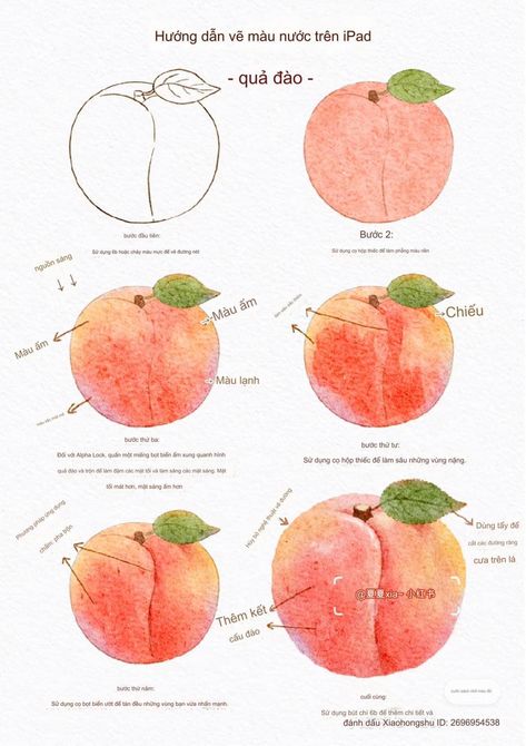 Peach Drawing Realistic, Peach Reference, Peaches Drawing, Peach Sketch, Watercolor Step By Step, Peach Drawing, Watercolor Food Illustration, Fruit Watercolor, Peach Watercolor